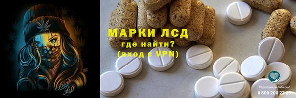 хмурый Абаза