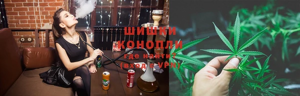 хмурый Абаза