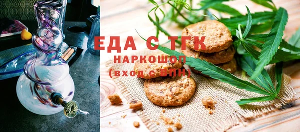 СК Гатчина