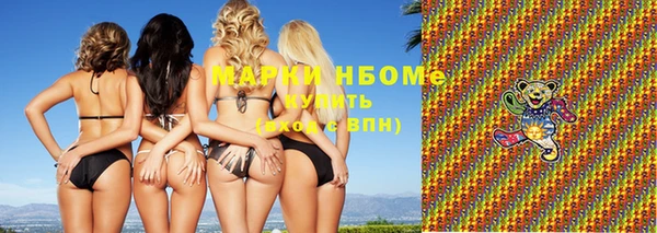 хмурый Абаза