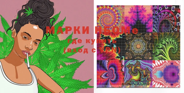 хмурый Абаза