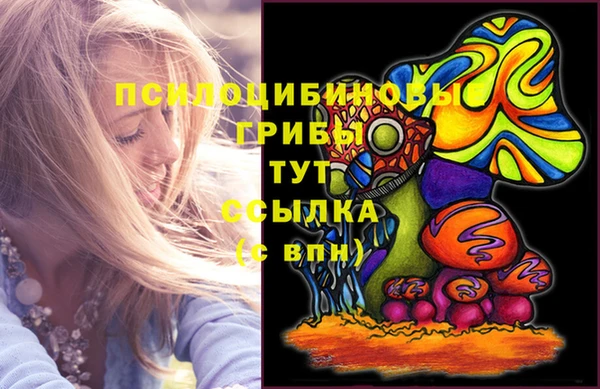 хмурый Абаза