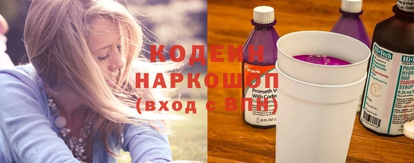 прущие грибы Гвардейск