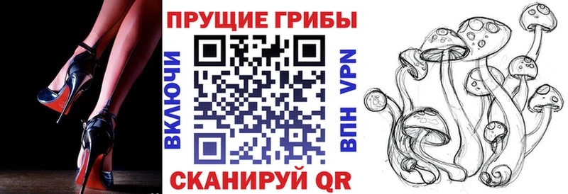 Галлюциногенные грибы ЛСД ссылка на мегу зеркало Мамадыш